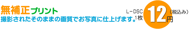 色補正無しのデジカメプリント